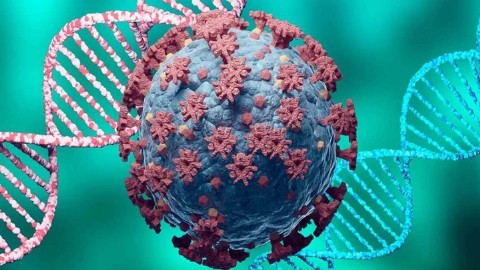 Covid-19: la nueva variante ómicron alerta al mundo pero ¿qué debemos saber sobre ella?