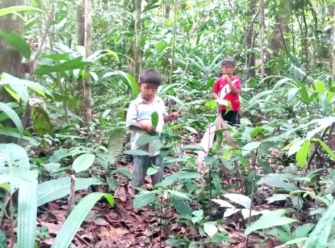Cahuapanas: dos niños fueron encontrados luego de 22 días desaparecidos en la selva
