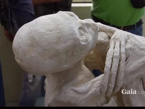 Misteriosas momias halladas en Nazcan impactan al mundo