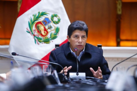 Pedro Castillo insulta a presidente interino y cuestiona al Congreso durante su defensa