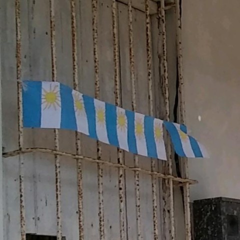 Sin temor al desengaño