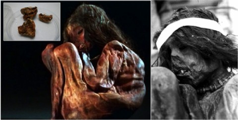 ADN de la momia del niño inca hallado en Argentina revela nueva familia genética