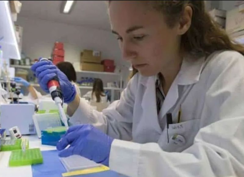 Estados Unidos: en la Universidad Estatal de Georgia descubrieron un fármaco oral que elimina en 24 horas el Covid-19